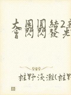 大团圆结2亲情会闪闪发光亲情会2