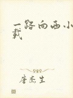 一路向西小说下载