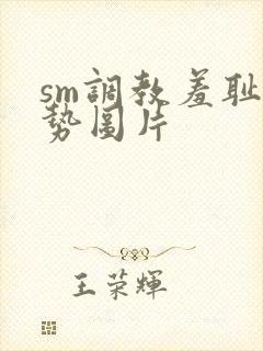 sm调教羞耻姿势图片