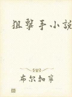 狙击手小说封面