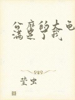 公么的大龟强大满足了我