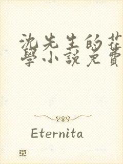 沈先生的花式教学小说免费