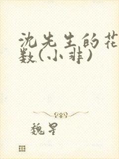 沈先生的花式调数(小非)