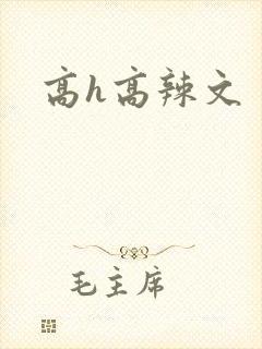 高h高辣文封面