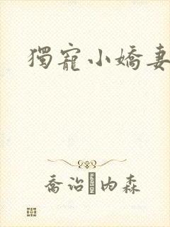 独宠小娇妻封面