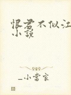 恨君不似江楼月小说封面