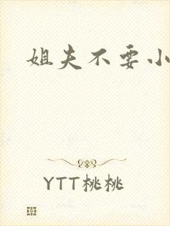 姐夫不要小说封面