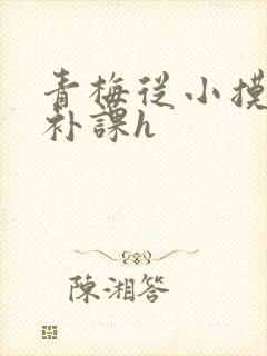 青梅从小摸到大补课h