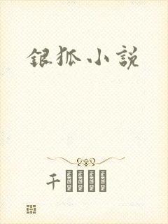 银狐小说