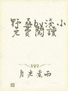 野桑by浅小说免费阅读