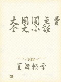 大团圆免费阅读全文小说