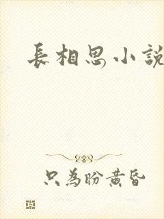 长相思小说原著封面