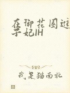 在御花园进入太子妃IH