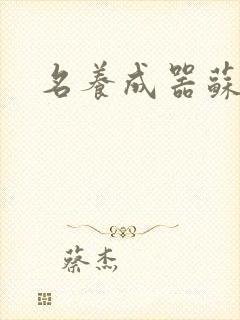 名养成器苏沫沫