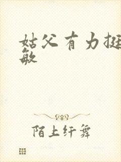 姑父有力挺送赵敏