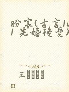 盼寡(古言1v1 先婚后爱)