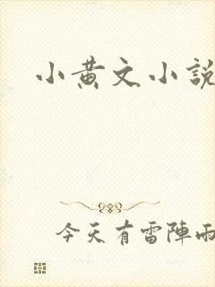 小黄文小说