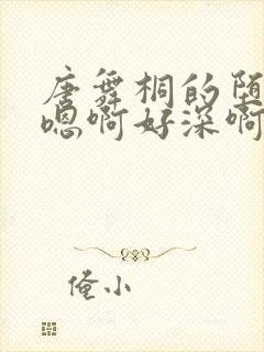 唐舞桐的堕落H嗯啊好深啊封面