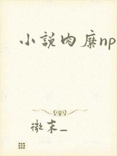 小说肉糜np封面