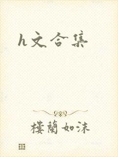 h文合集