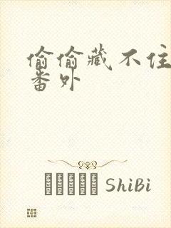 偷偷藏不住新婚番外封面