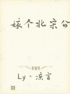 嫁个北宋公务员