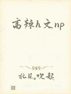 高辣h文np