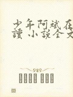 少年阿斌在线阅读 小说全文免费