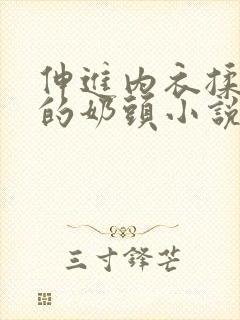 伸进内衣揉捏她的奶头小说学生封面