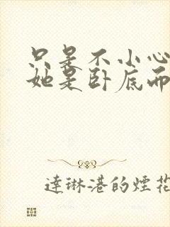 只是不小心发现她是卧底而已