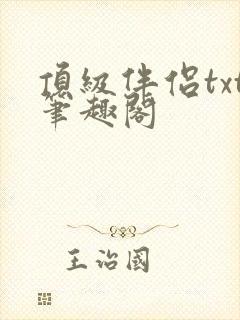 顶级伴侣txt笔趣阁