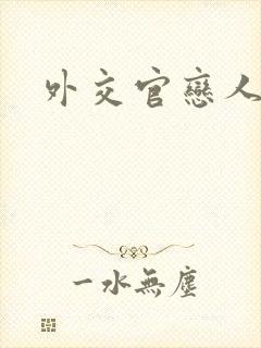 外交官恋人小说封面