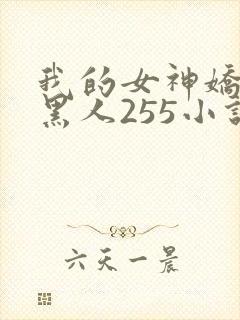 我的女神娇妻与黑人255小说封面