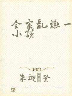 全家乱炖一锅烩小说