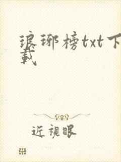琅琊榜txt下载