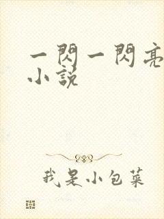 一闪一闪亮星星小说封面