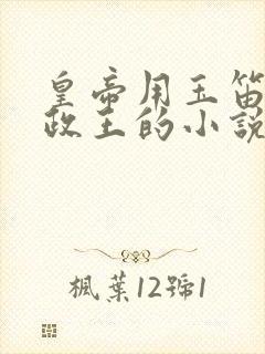 皇帝用玉笛整摄政王的小说