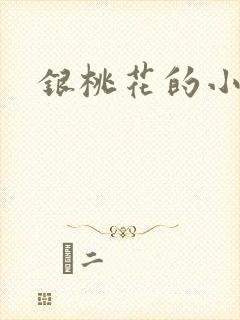 银桃花的小说