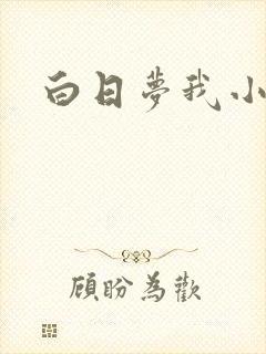 白日梦我小说