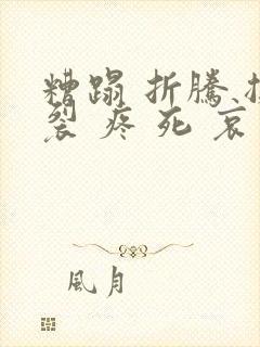 糟蹋 折腾 撕裂 疼 死 哀求封面