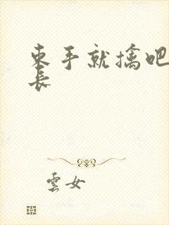 束手就擒吧韩队长