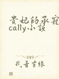 贵妃的承宠日常cally小说封面