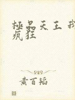 极品天王 我本疯狂