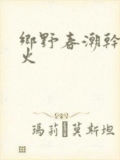 乡野春潮干柴烈火封面