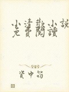 小清欢小说全文免费阅读