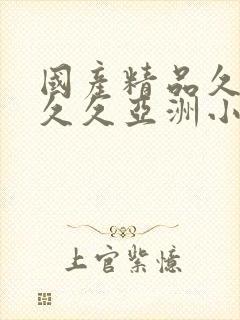 国产精品久久久久久亚洲小说封面