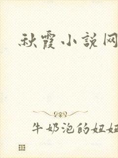 秋霞小说网封面