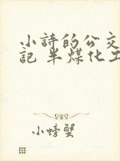 小诗的公交车日记 半煤化工封面