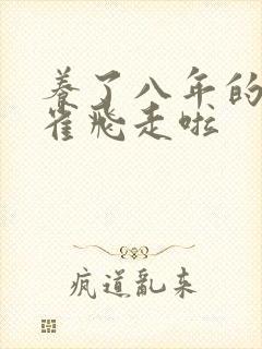 养了八年的金丝雀飞走啦