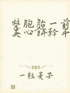 双胞胎一前一后夹心饼干年下